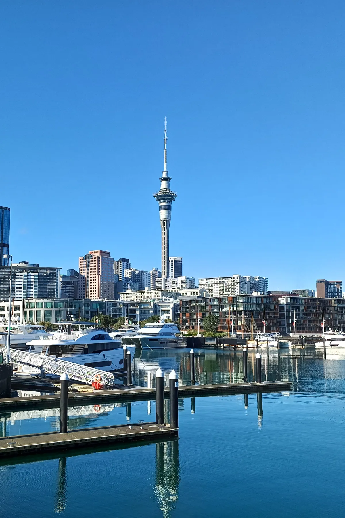 The Sky Tower and the city towers over the yachts and pontoons of the Viaduct Harbour on a clear blue day