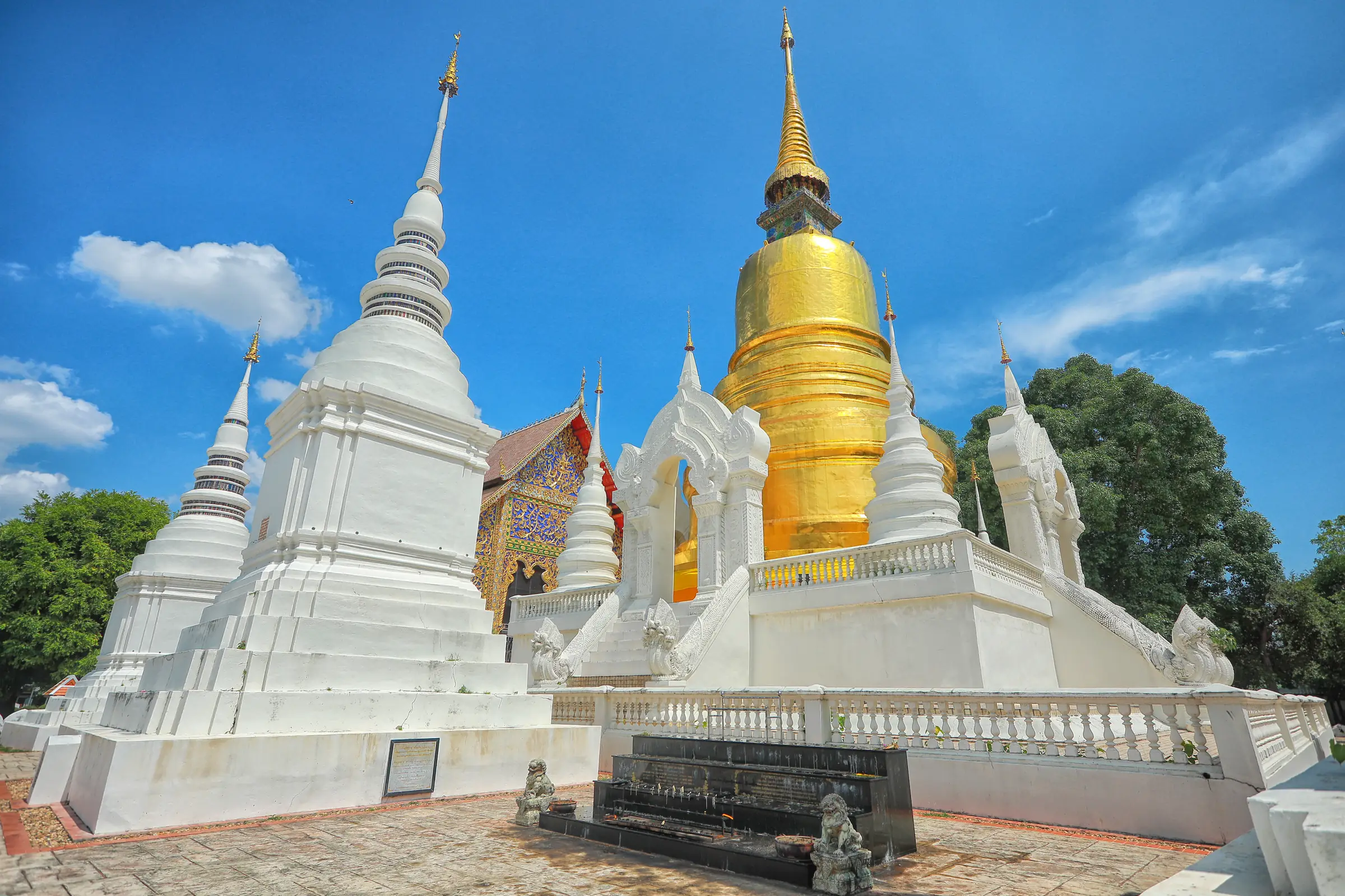 Wat Suan Dok in full sun: tall white chedis and a great gold chedi on a white terrace, a carved gable behind, under a deep blue sky with white clouds