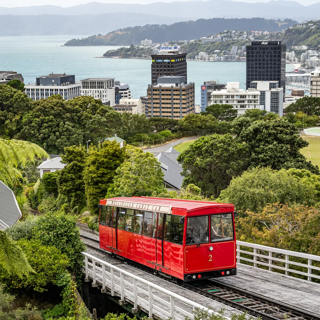A red Wellington Cable Car climbing through the trees, with the city towers, the harbour and the hills behind