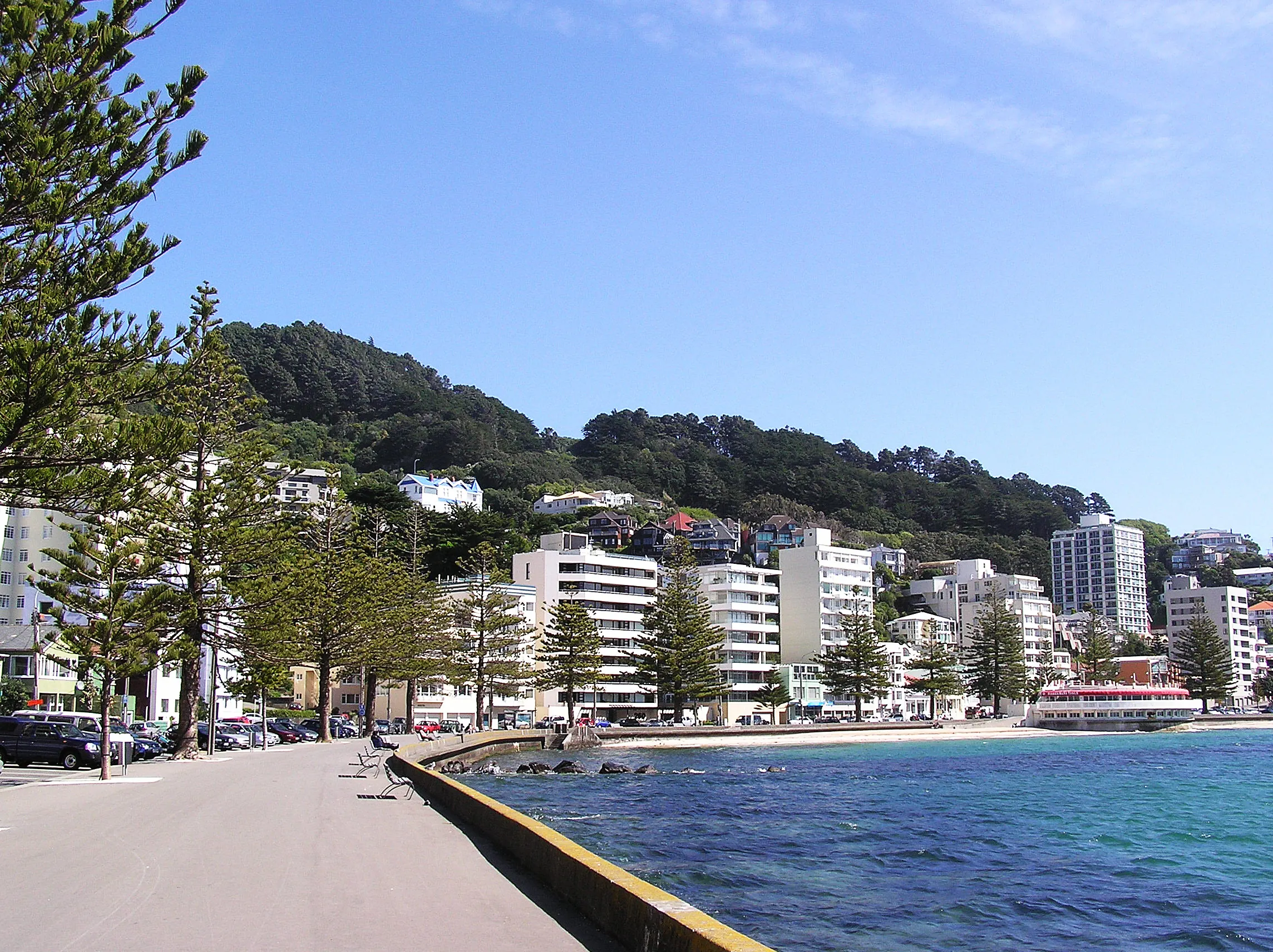 Oriental Bay on a sunny day: the seawall promenade and the beach under tall Norfolk pines, apartments and houses climbing the green hill behind, the harbour bright blue under a clear sky